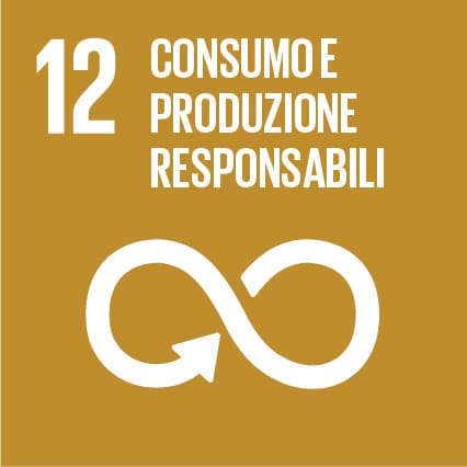 Obiettivo 12 Agenda 2030